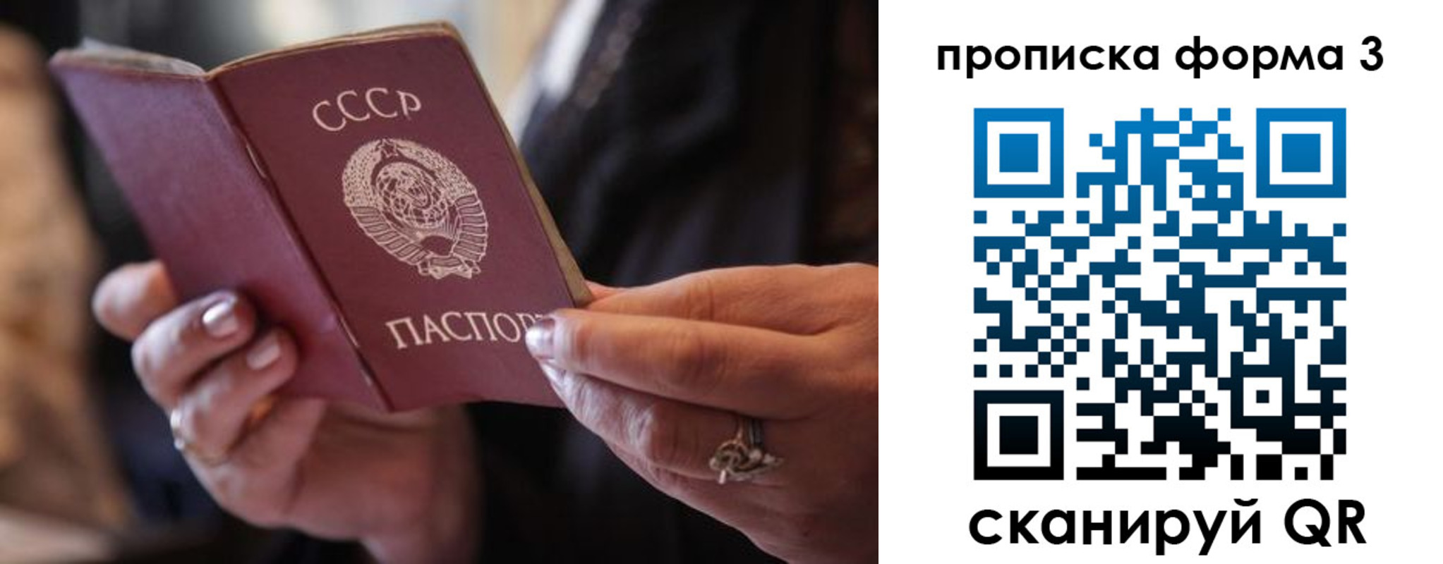 где прописаться в Сольцах